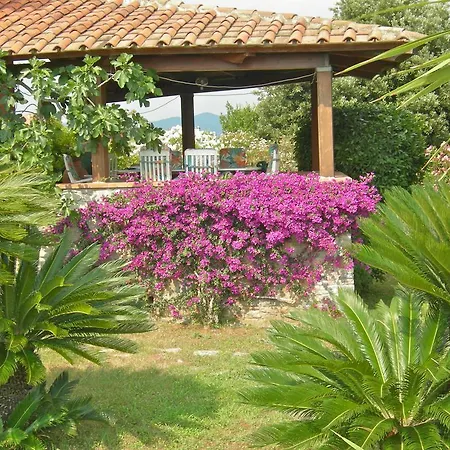 Alojamento de Acomodação e Pequeno-almoço Le Palme Ameglia