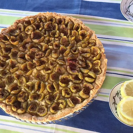 Alojamento de Acomodação e Pequeno-almoço Le Palme