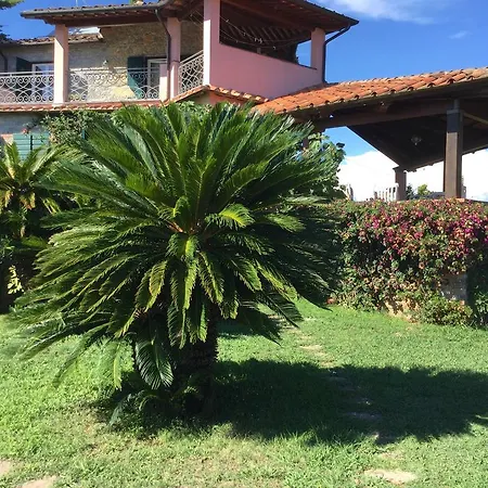 Le Palme