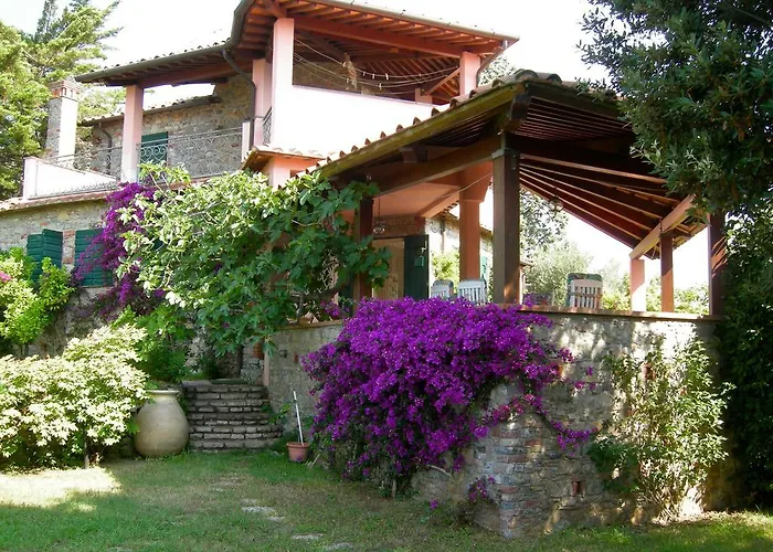 Le Palme Амелия