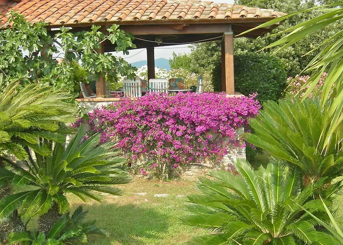 Frühstückspension Le Palme Ameglia