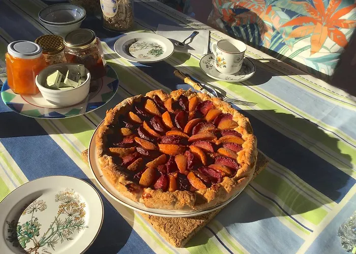 Le Palme Амелия