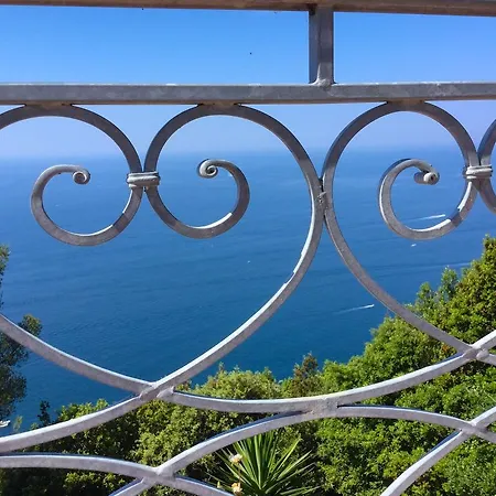 Le Palme 아메그리아