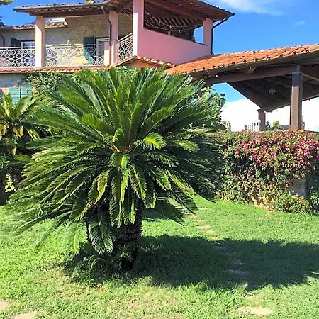 Le Palme