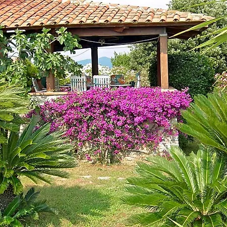 Le Palme Alojamento de Acomodação e Pequeno-almoço