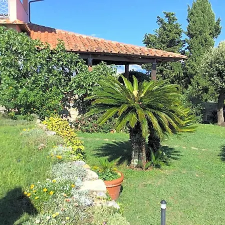 Alojamento de Acomodação e Pequeno-almoço Le Palme 4*