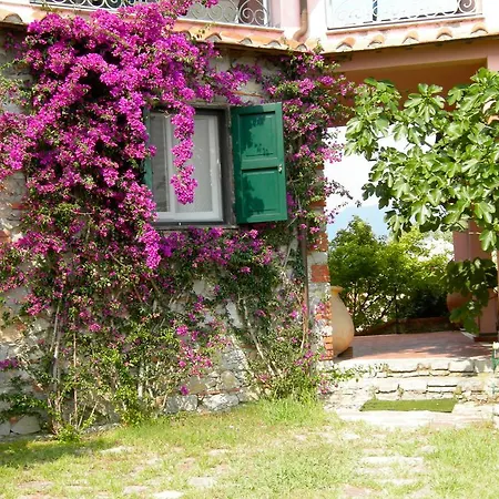 Bed and breakfast Le Palme