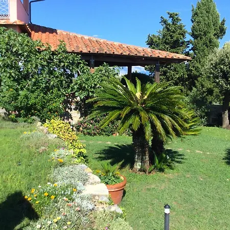 Frühstückspension Le Palme Ameglia